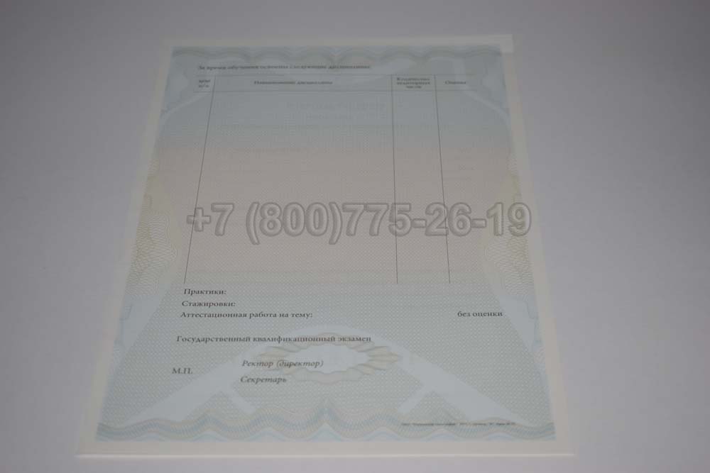 Приложение к диплому MBA Гознак 2011-2025 год выпуска г.Кемерово