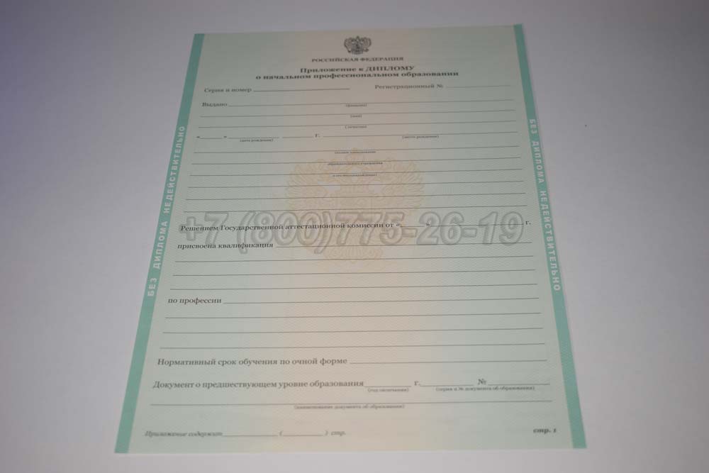 Приложение к диплому ПТУ Гознак 2011-2025 год выпуска г.Кемерово