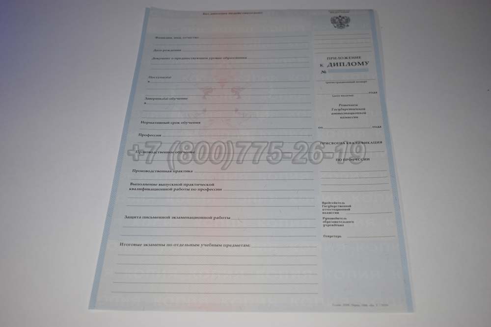 Приложение к диплому ПТУ Гознак 2007-2010 год выпуска г.Кемерово