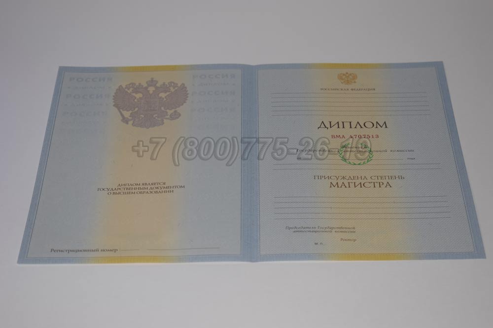 Бланк диплома магистра Гознак 2009-2010 год выпуска г.Кемерово