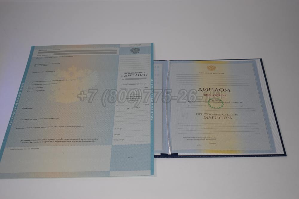 Диплом магистра Гознак 2009-2010 год выпуска г.Кемерово