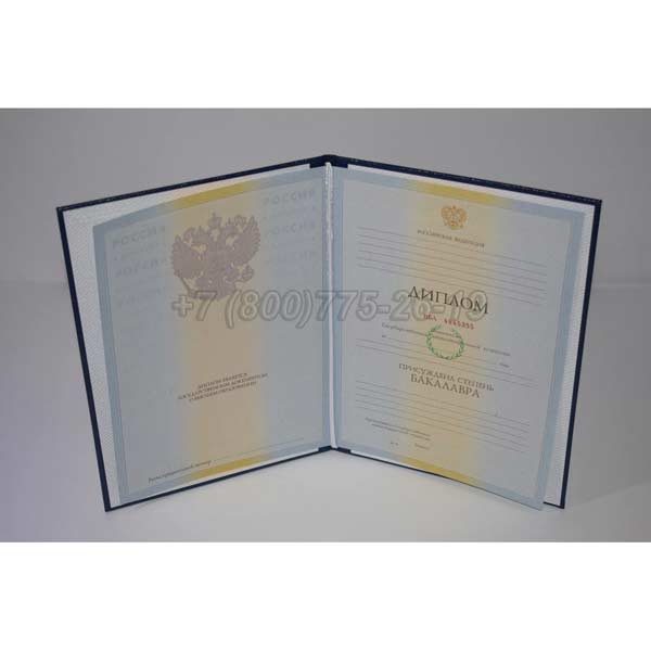 Диплом бакалавра 2009-2010 г.в. Кемерово