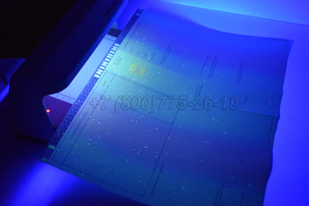Приложение к диплому магистра Гознак 2014-2025 год выпуска г.Кемерово