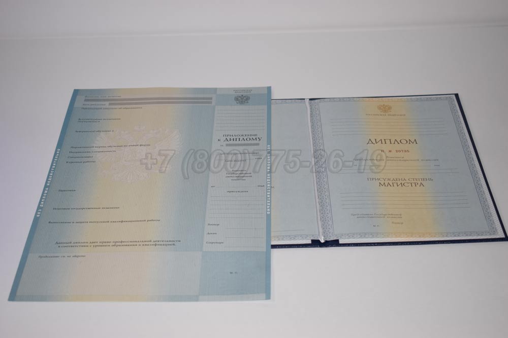 Диплом магистра Гознак 2011-2013 год выпуска г.Кемерово