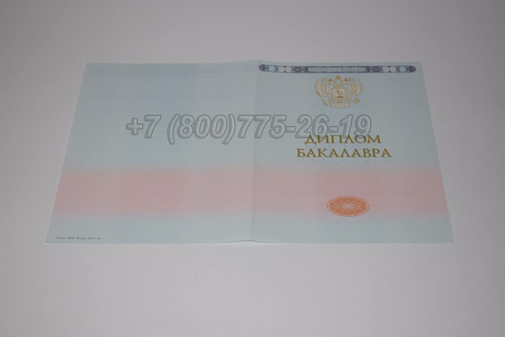 Бланк диплома бакалавра Гознак 2014-2025 год выпуска г.Кемерово