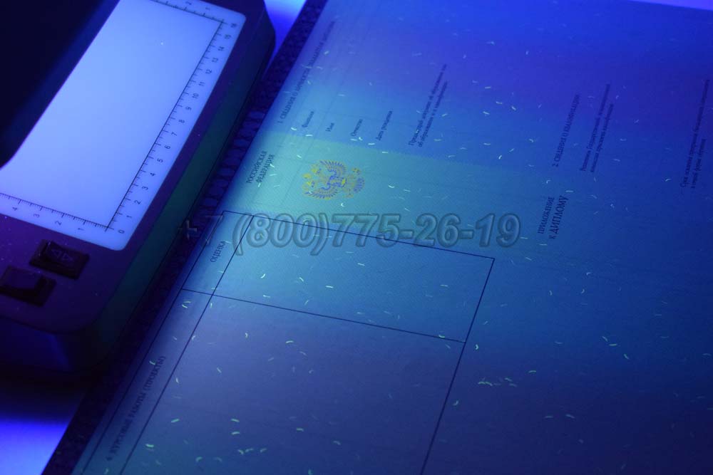 Приложение к красному диплому о высшем образовании 2013-2025 год г.Кемерово