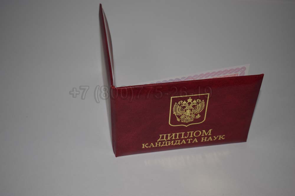 Диплом кандидата наук Гознак 2013-2016 год выпуска г.Кемерово