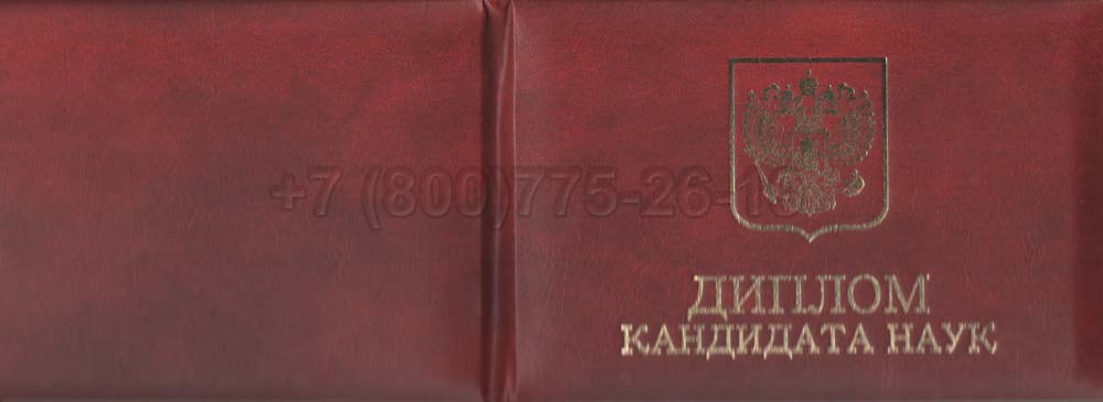 Диплом кандидата наук Гознак 2013-2016 год выпуска г.Кемерово