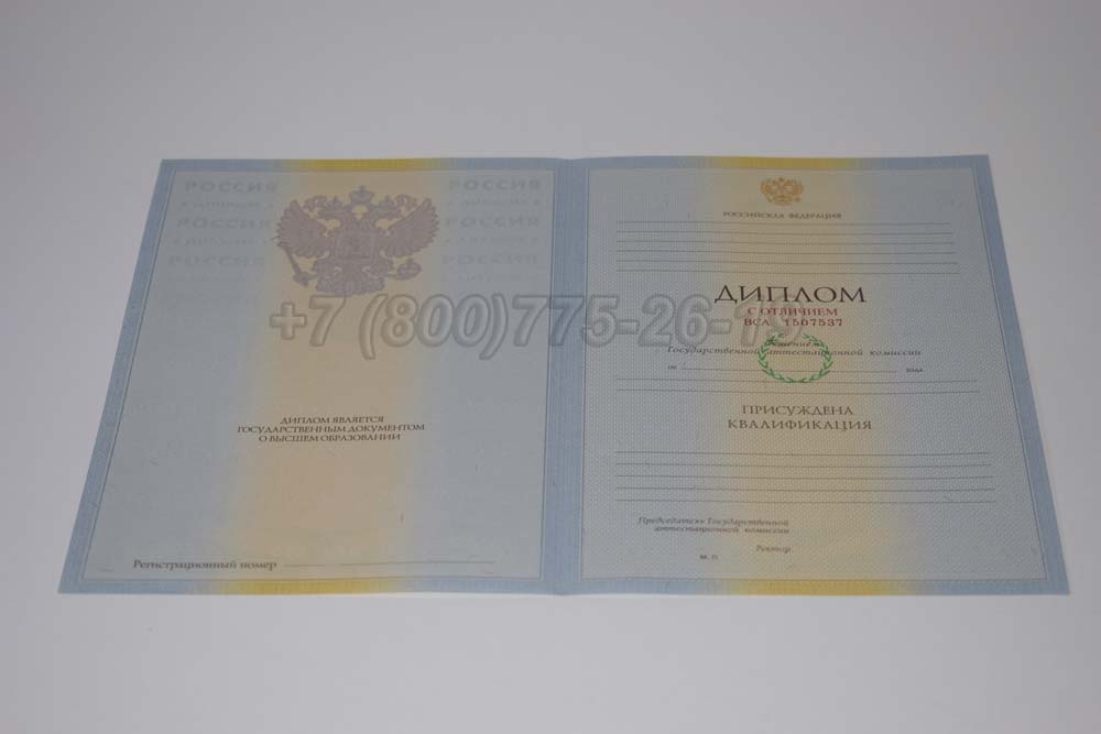 Бланк красного диплома о высшем образовании 2009-2010 год выпуска г.Кемерово