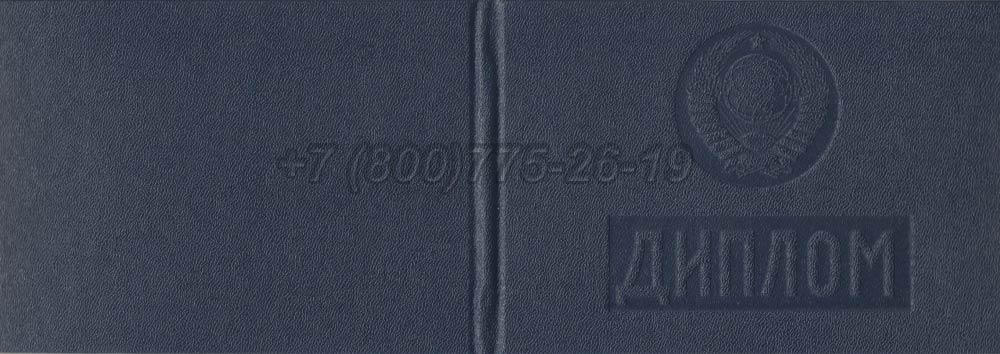 Диплом техникума Молдавской ССР Гознак 1975-1991 год выпуска г.Кемерово