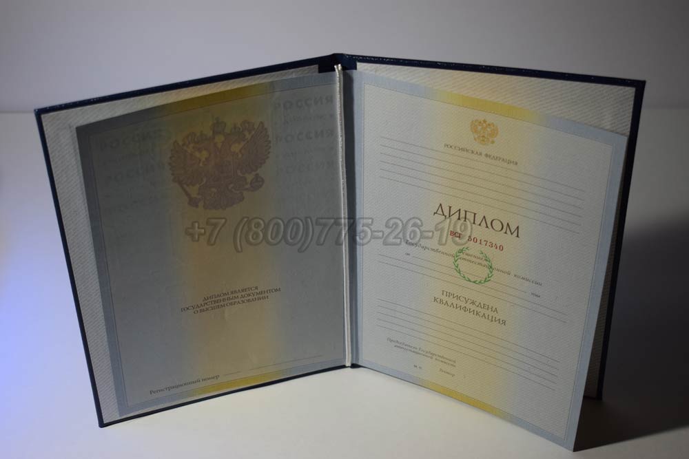 Диплом о высшем образовании Гознак 2009-2010 год выпуска г.Кемерово
