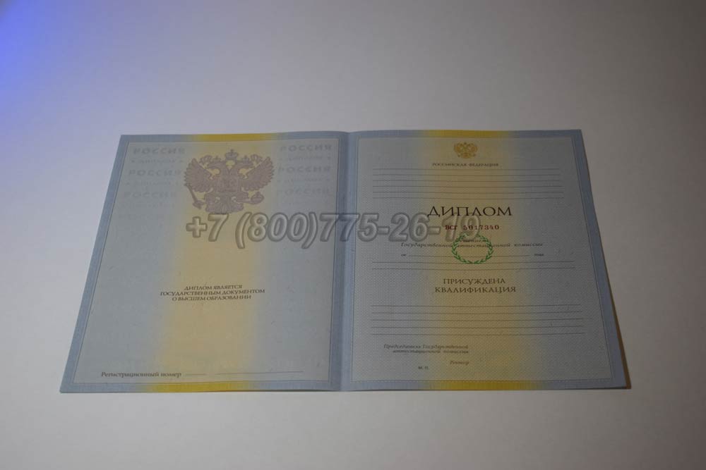 Бланк диплома о высшем образовании 2009-2010 год выпуска г.Кемерово
