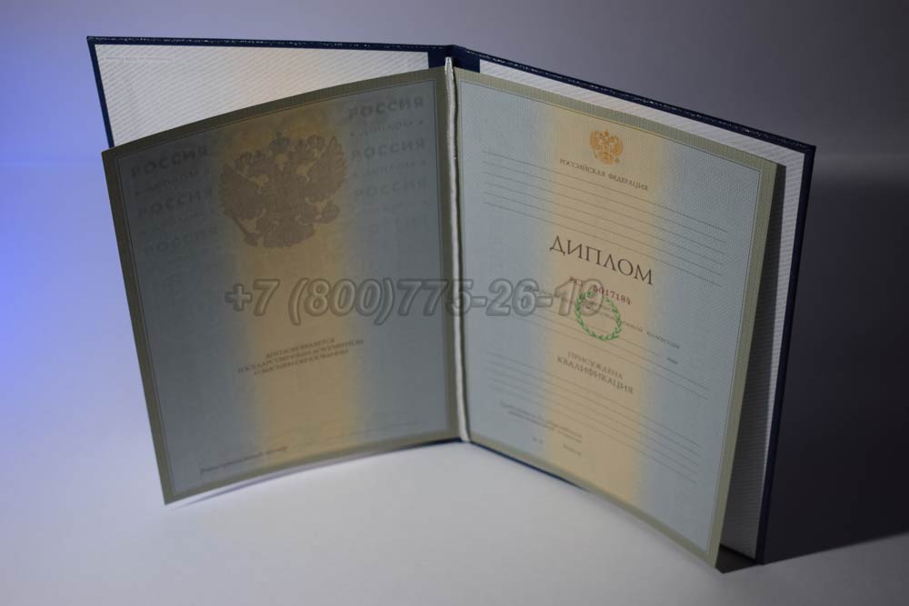 Диплом института Гознак 2003-2008 год выпуска г.Кемерово