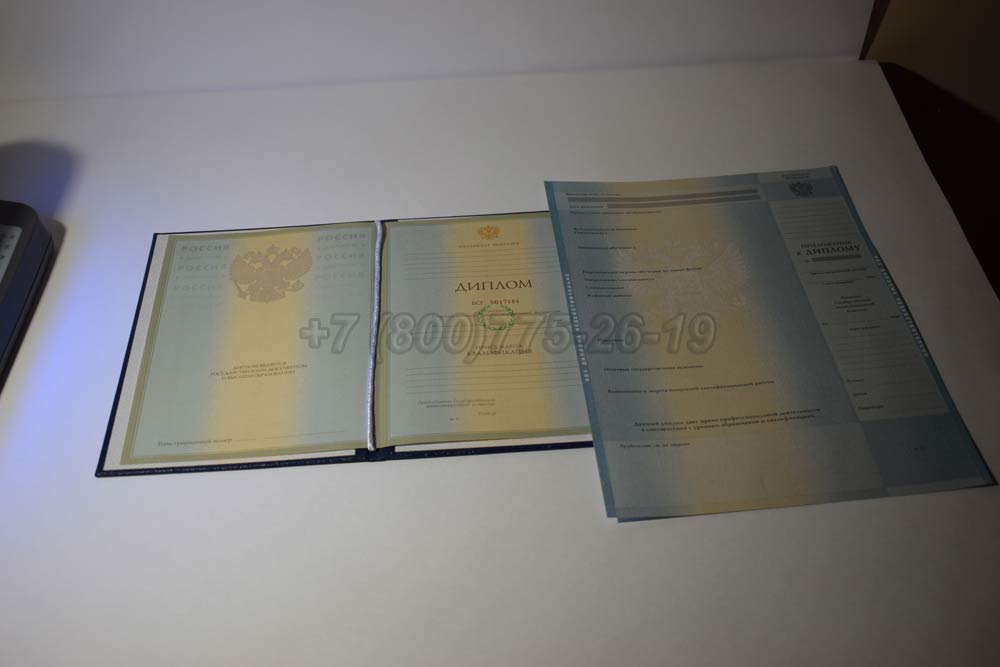 Бланк диплома института 2003-2008 год выпуска г.Кемерово