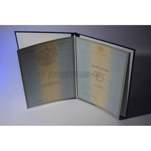 Диплом о высшем образовании 2003-2008 г.в. Кемерово