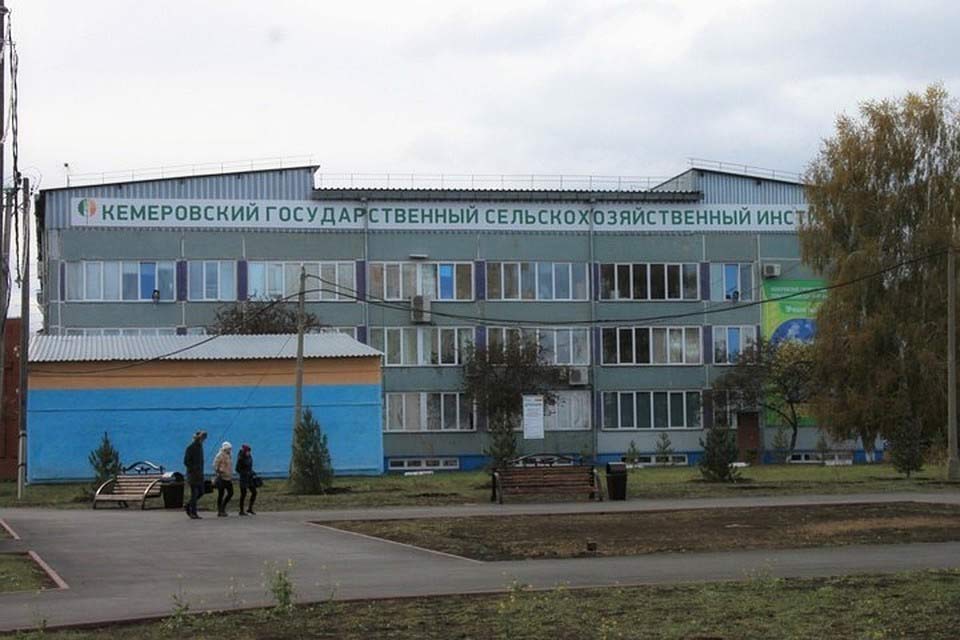 Покупка диплома Кемеровского государственного сельскохозяйственного института